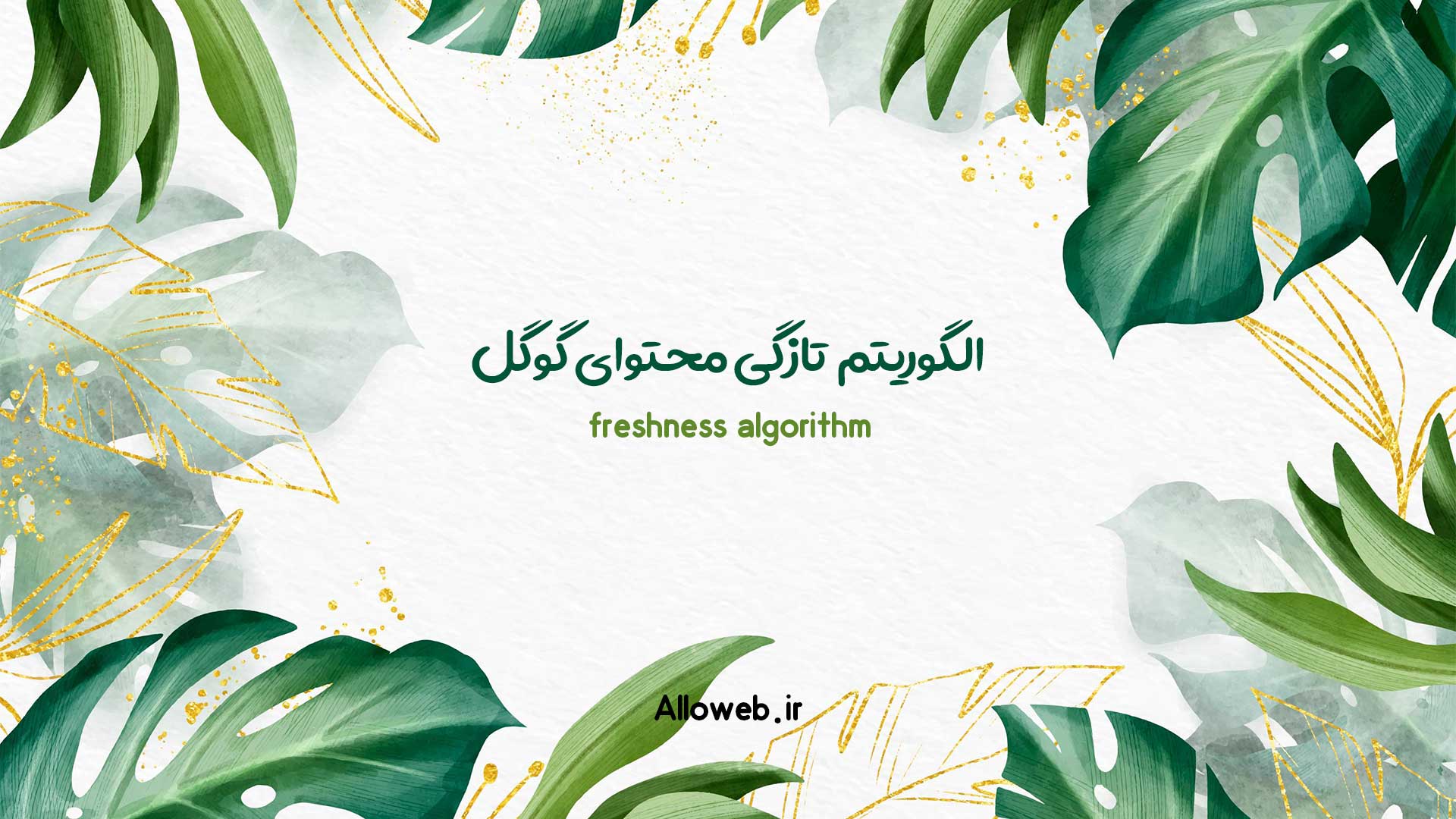 الگوریتم-تازگی-محتوای-گوگل